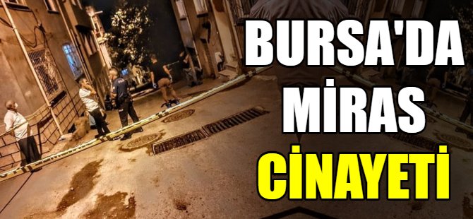 Bursa'da miras cinayeti