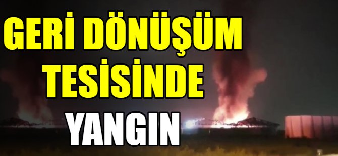 Geri dönüşüm tesisinde yangın