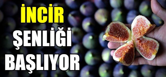 Mürsel İncir Şenliği başlıyor
