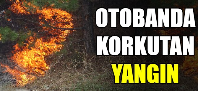 Otobanda korkutan yangın