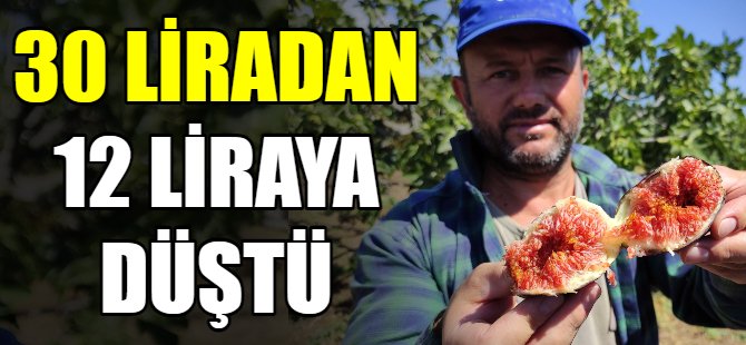 İncir 30 liradan 12 liraya düştü