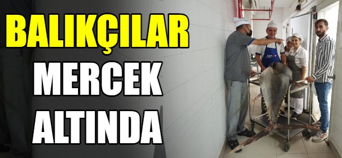 Balıkçılar mercek altında