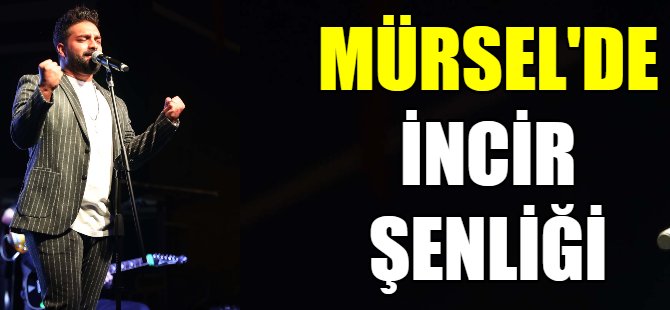 Mürsel'de incir şenliği