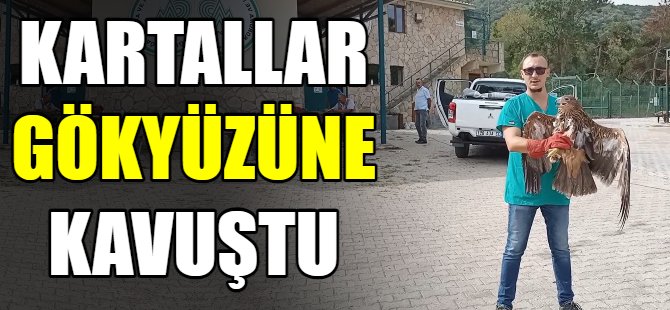 Kartallar gökyüzüne kavuştu