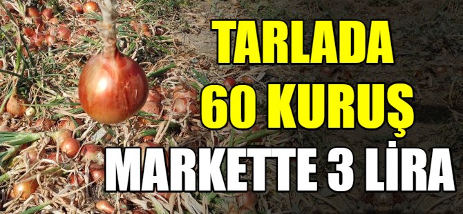 Tarlada 60 kuruş, markette 3 lira