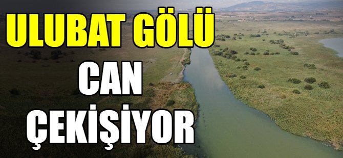 Uluabat Gölü can çekişiyor