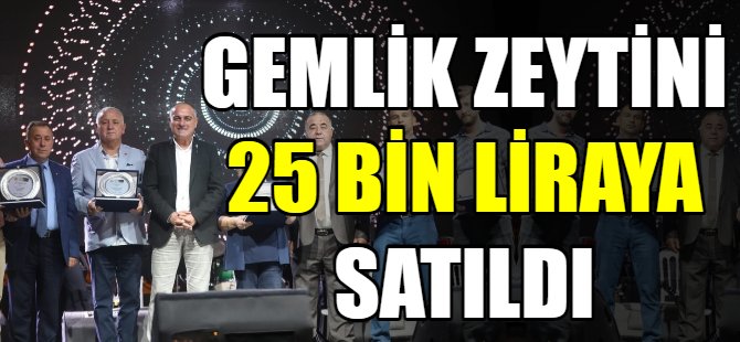 Gemlik zeytini 25 bin liraya satıldı