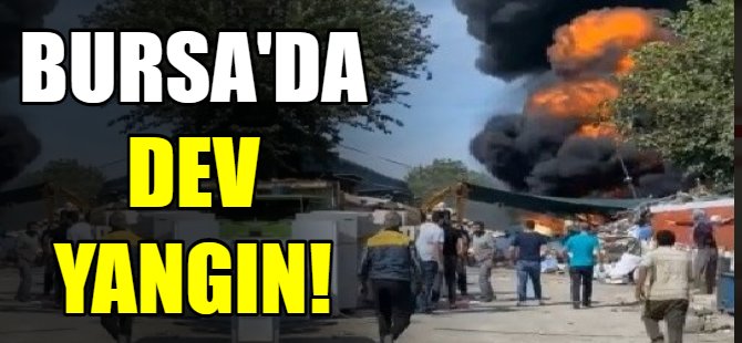 Bursa'da dev yangın!