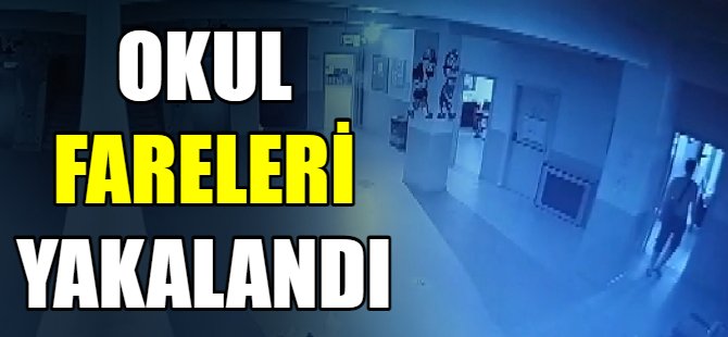 Okul fareleri yakalandı