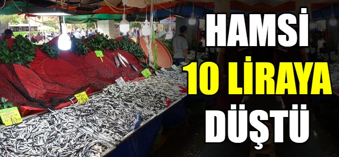 Hamsi 10 liraya düştü