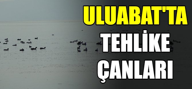 Uluabat'ta tehlike çanları