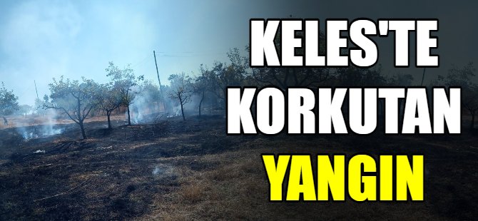 Keles'te korkutan yangın