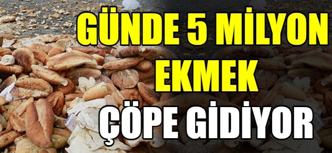Günde 5 milyon ekmek çöpe gidiyor