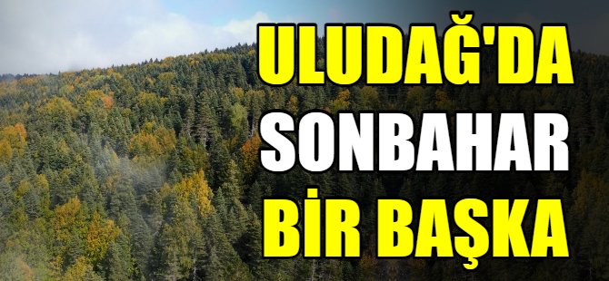 Uludağ'da sonbahar bir başka