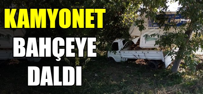 Kamyonet bahçeye daldı