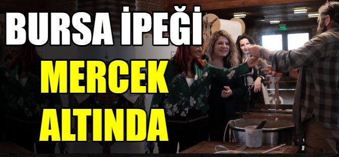 Bursa ipeği mercek altında