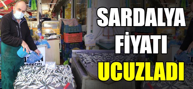 Sardalya ucuzladı