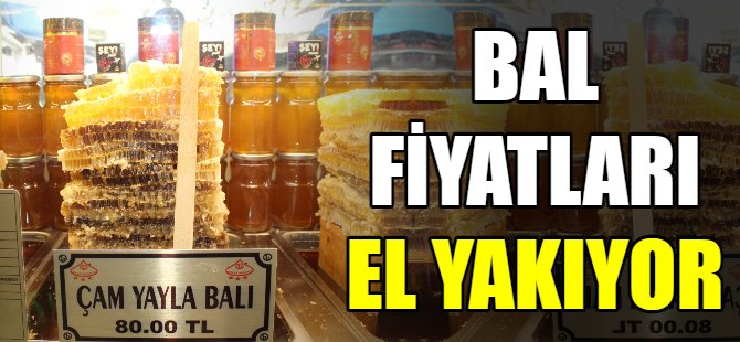 Bal fiyatları el yakıyor