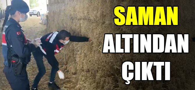 Saman altından 139 bin lira çıktı