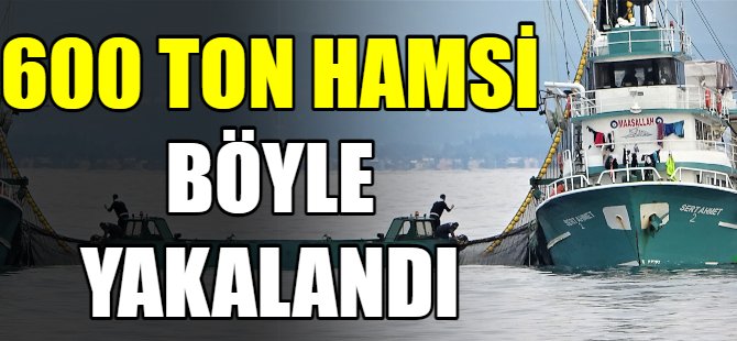 600 bin ton hamsi böyle yakalandı