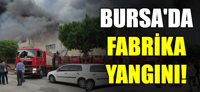 Son dakika! Bursa'da fabrika yangını
