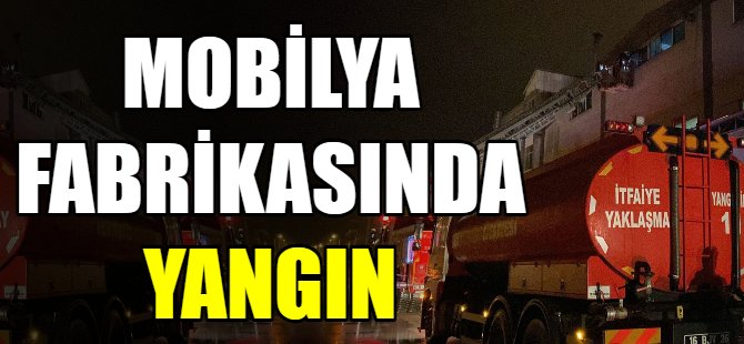 Mobilya fabrikasında yangın