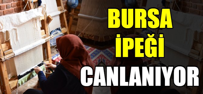 Bursa İpeği canlanıyor