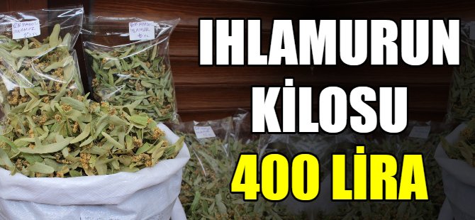 Ihlamurun kilosu 400 lira