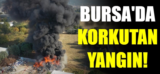 Bursa'da korkutan yangın!