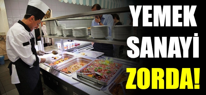 Yemek sanayi zorda!