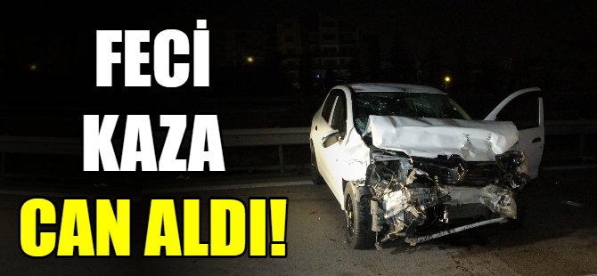 Olay yerinde can verdi