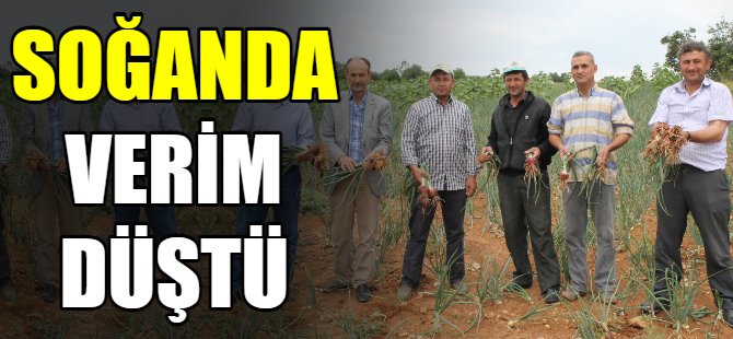 Soğan üreticisi umduğunu bulamadı