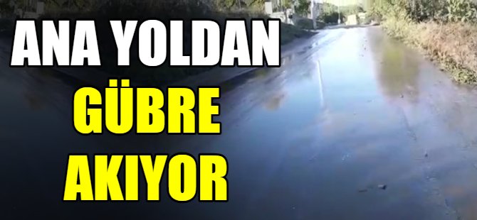 Ana yoldan dere gibi gübre akıyor