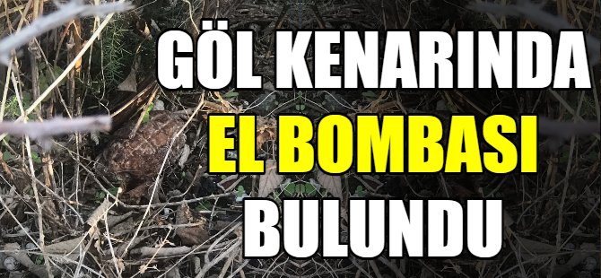Göl kenarında el bombası bulundu