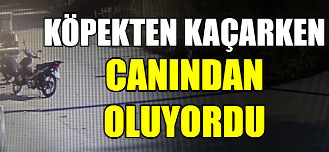 Köpekten kaçarken canından oluyordu