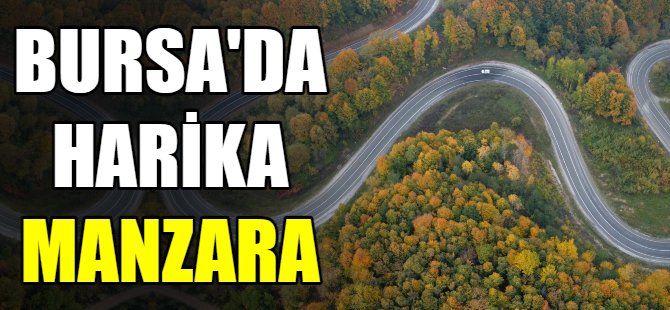 Bursa Ormanları'nda renk cümbüşü