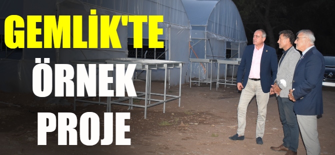 Gemlik'te uygun fiyatlı sebze meyve