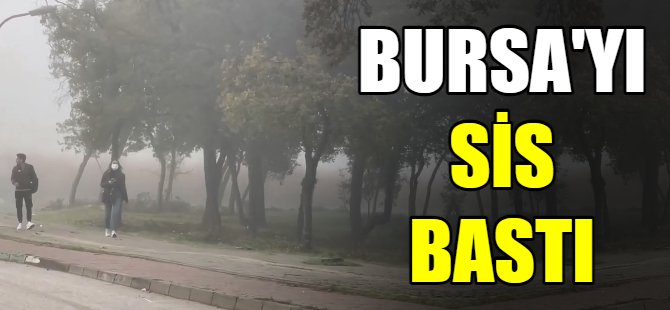 Bursa'yı sis bastı