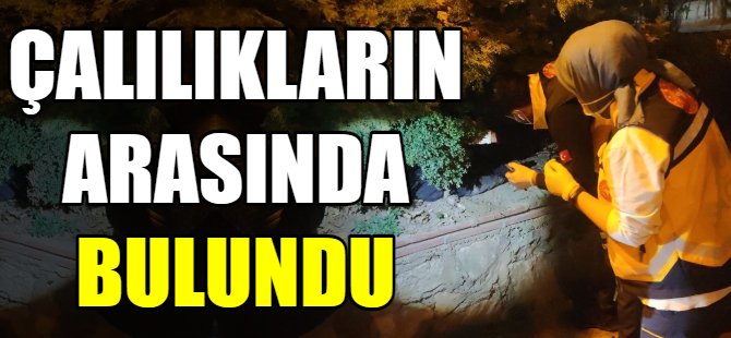 Çalılıkların arasında sızdı