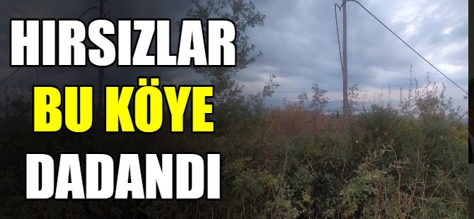Bursa'da hırsızlar aynı köye dadandı