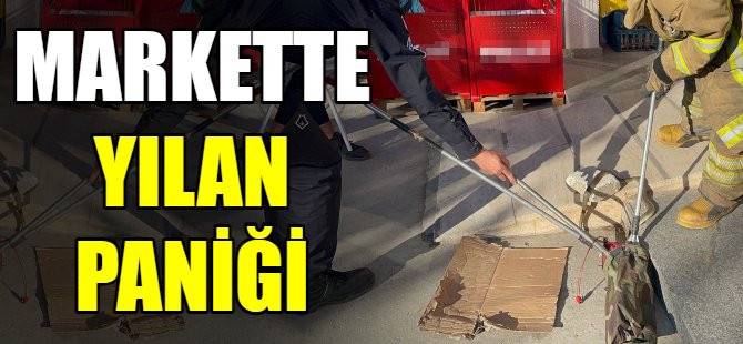 Süpermarkette yılan şoku