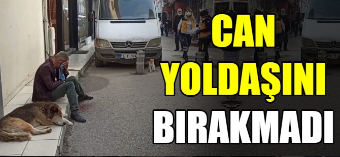 Can yoldaşını bırakmadı