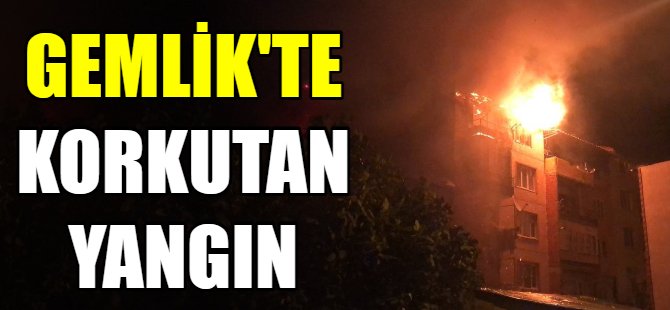 Gemlik’te korkutan yangın