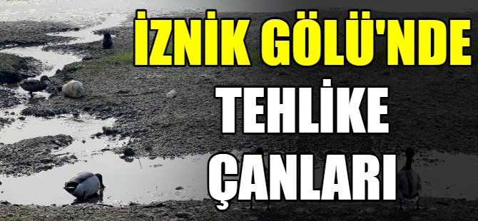 İznik Gölü’ndeki tehlike korkutuyor
