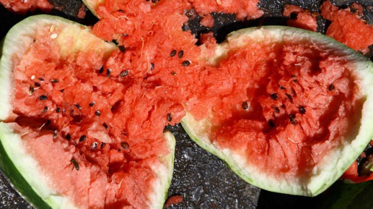 Ürün tarlada kaldı, fiyatı dip yaptı