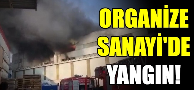 Bursa'da fabrika yangını!