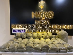 Bursa'da Bonzai baskını!