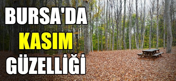 Bursa, Kasım’da başka güzel