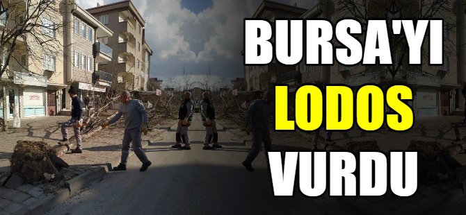Lodos hayatı felç etti