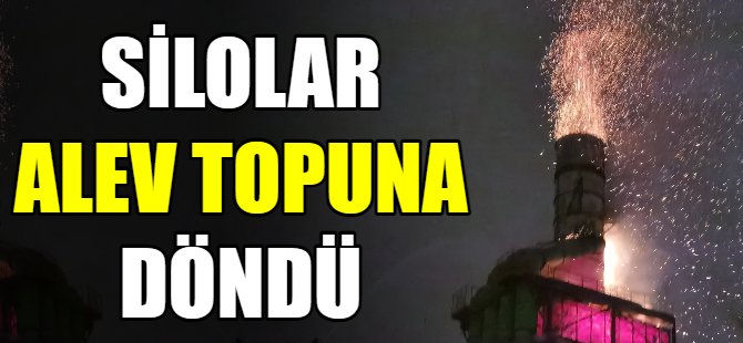 Talaş siloları alev topuna döndü